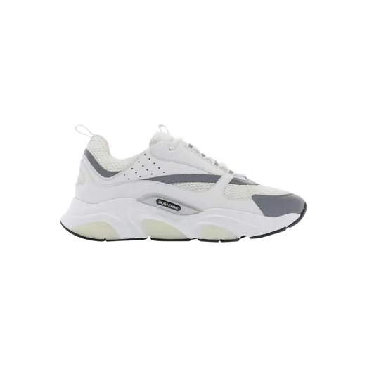 Dior B22 White Grey